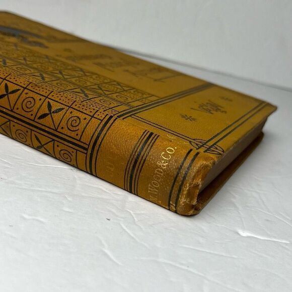 Wood’s Library of Standard Medical Authors Malaria and Malarial Diseases 1884 Ge - Picture 7 of 12